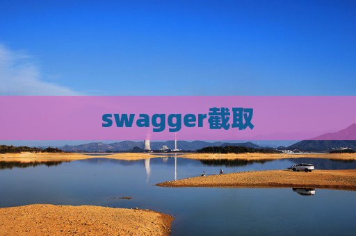 swagger截取